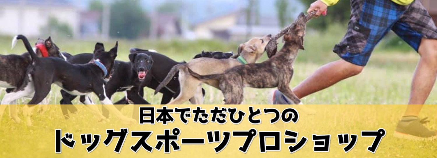 ドッグスポーツプロショップ